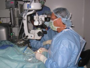 Randy Katz, M.D.