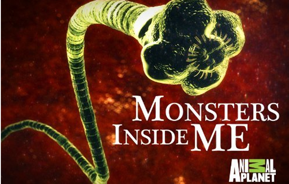 Monsters Inside Me