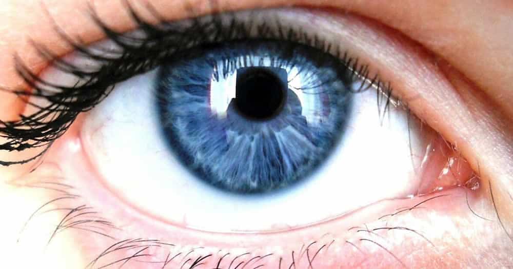 Eye